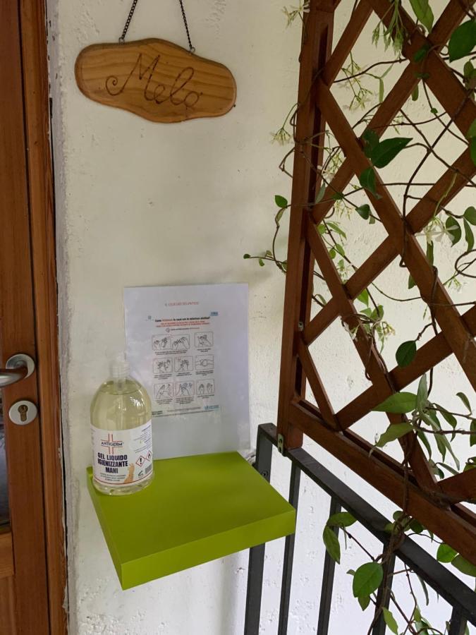 Il Ciliegio Selvatico Διαμέρισμα Βερμπάνια Εξωτερικό φωτογραφία